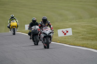 Advanced Group Silver_Grey Bikes